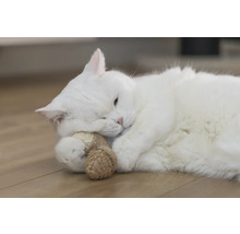 Pisică albă culcată cu o jucărie pe podea