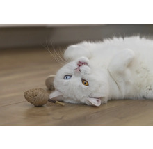 Pisică albă întinsă pe spate cu o jucărie pentru pisici