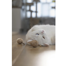 O pisică albă cu ochi inegali și jucării pentru pisici pe o podea de lemn