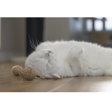 O pisică albă relaxată stă întinsă pe spate lângă jucării pentru pisici.