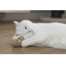 O pisică albă stă întinsă pe podea și se joacă cu o jucărie pentru pisici.