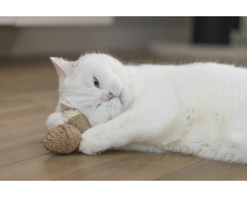 O pisică albă stă întinsă pe podea și se joacă cu o jucărie pentru pisici.