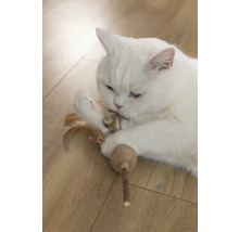 Pisică albă se joacă cu o jucărie pentru pisici pe podea de lemn