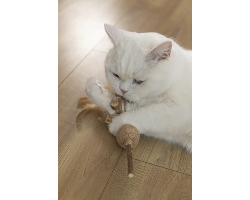 Pisică albă se joacă cu o jucărie pentru pisici pe podea de lemn