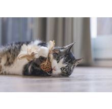 Pisică jucăușă stă întinsă pe podea și se joacă cu o minge din materiale naturale și pene.