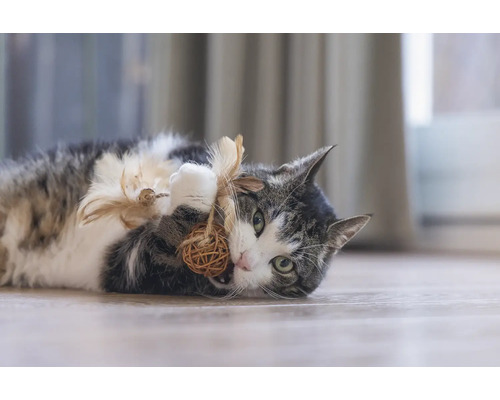 Pisică jucăușă stă întinsă pe podea și se joacă cu o minge din materiale naturale și pene.