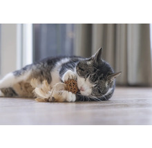 Pisică întinsă pe podea jucându-se cu o jucărie.