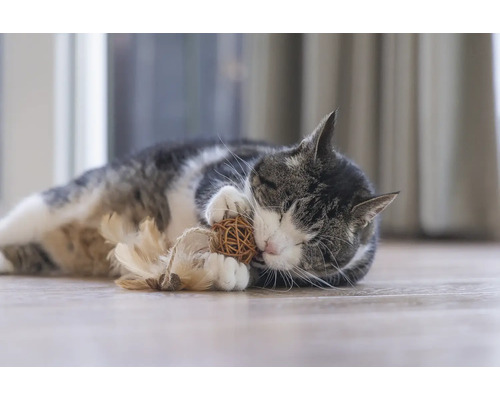 Pisică întinsă pe podea jucându-se cu o jucărie.