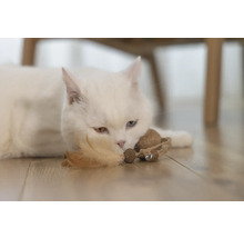 Pisică albă întinsă pe podea cu o jucărie.