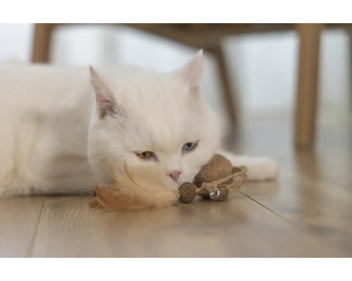 Pisică albă întinsă pe podea cu o jucărie.