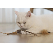 O pisică albă stă întinsă pe podea și se joacă cu o jucărie din lemn.