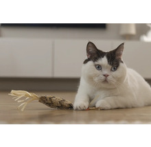 O pisică stă întinsă pe podea cu o jucărie pentru pisici.