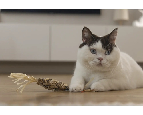 O pisică stă întinsă pe podea cu o jucărie pentru pisici.