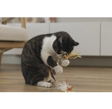 Pisică se joacă cu jucăria pentru pisici