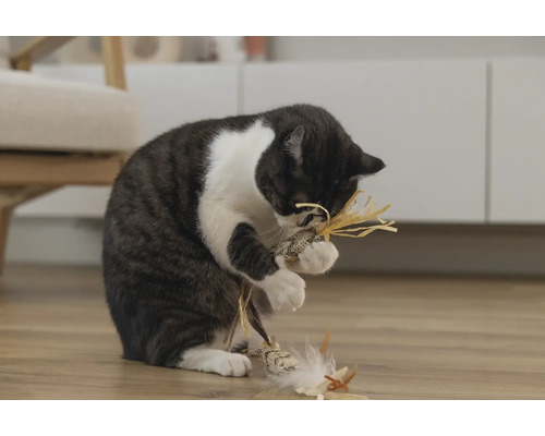 Pisică se joacă cu jucăria pentru pisici