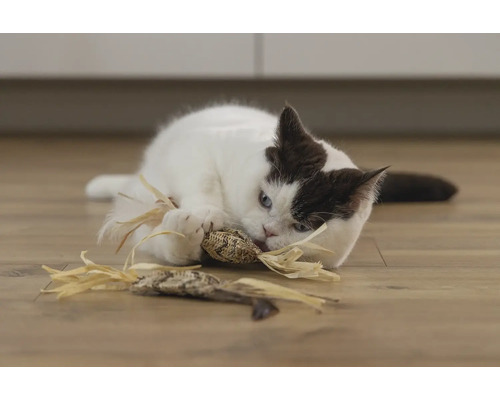 O pisică se joacă cu o jucărie pentru pisici pe podea.