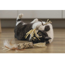 Pisică se joacă cu o jucărie pe podea