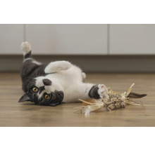 Pisică jucându-se cu o jucărie pentru pisici pe podea