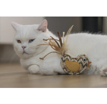 Pisică albă stă întinsă cu jucărie pasăre