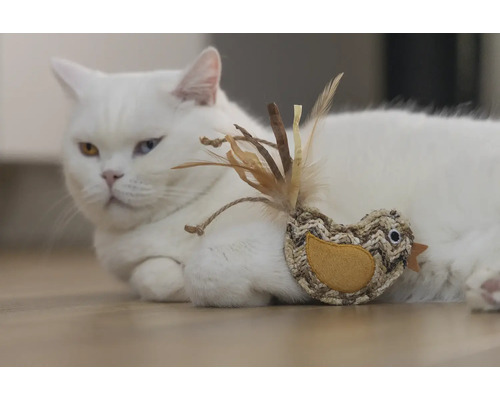 Pisică albă stă întinsă cu jucărie pasăre