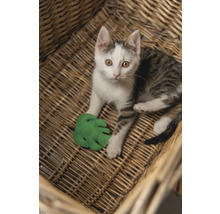 O pisică stă într-un coș împletit și se joacă cu o frunză verde de jucărie.