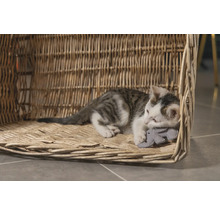 O pisică se odihnește într-un coș împletit pentru pisici și ține o jucărie