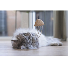 Pisică gri se joacă cu o jucărie pentru pisici din plută și sfoară