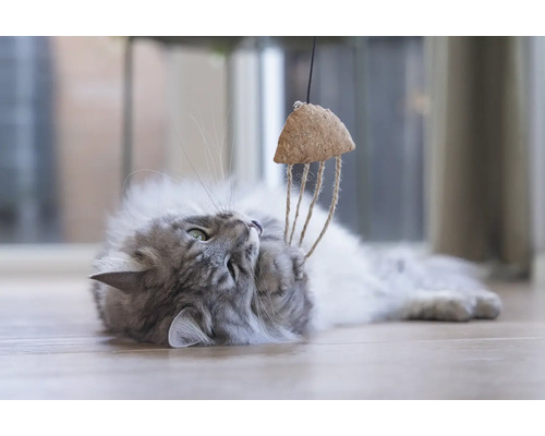 Pisică gri se joacă cu o jucărie pentru pisici din plută și sfoară