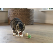 O pisică tigrată poartă o minge de jucărie în gură, cu mai multe mingi de jucărie pe o podea de lemn.