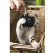 Pisică se joacă cu o jucărie pentru pisici într-un coș