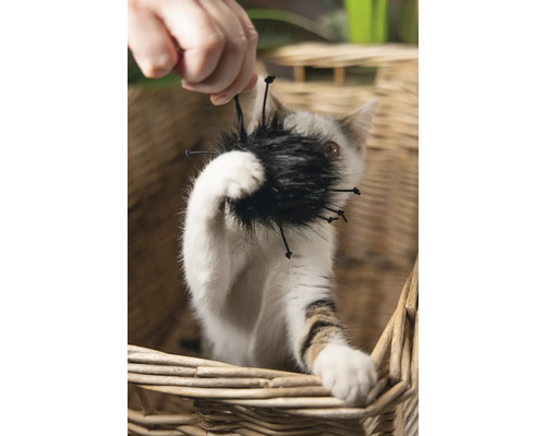 Pisică se joacă cu o jucărie pentru pisici într-un coș