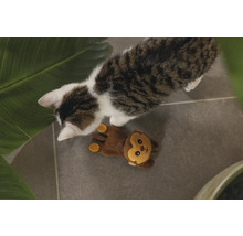 Pisică cu jucărie maimuță pe podea