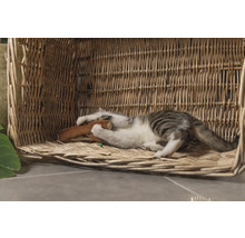 Pisică se joacă cu o jucărie într-un coș de răchită