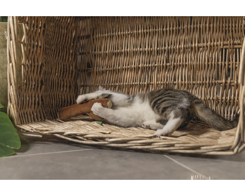 Pisică se joacă cu o jucărie într-un coș de răchită