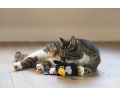 Pisică tigrată stând întinsă cu o jucărie pe podea.