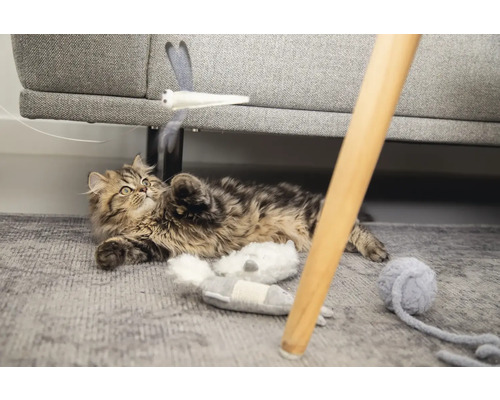 Pisică jucăușă pe un covor cu jucării