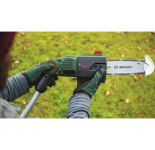 O persoană ține în mână un ferăstrău cu lanț pe acumulator UniversalChainPole 18 de la Bosch.