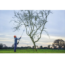 O persoană folosește un fierăstrău de crengi pentru a tăia un copac.