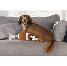 Teckel stă cu o minge de fotbal de jucărie pe o canapea gri.