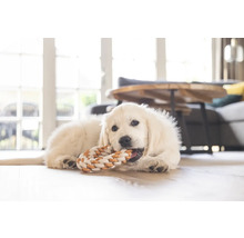 Un cățel Golden Retriever stă întins pe podea și mestecă o jucărie.