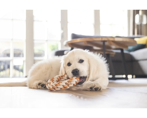 Un cățel Golden Retriever stă întins pe podea și mestecă o jucărie.