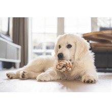 Un câine stă întins pe podea cu o jucărie din sfoară.