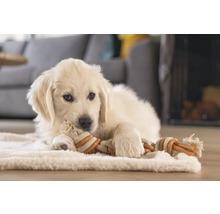 Un pui Golden Retriever deschis la culoare stă întins pe un covor și mestecă o jucărie din sfoară.