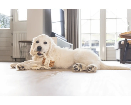 Un pui de Golden Retriever alb stă întins pe podea și roade o jucărie din sfoară.