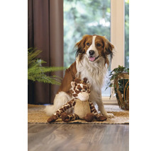 Câine șezând cu o jucărie de pluș girafă pe un covor