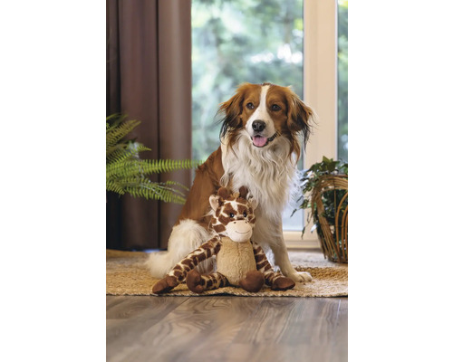 Câine șezând cu o jucărie de pluș girafă pe un covor