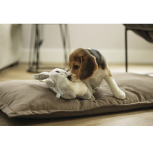 Cățel beagle se joacă cu o jucărie de pluș pe o pernă pentru câini