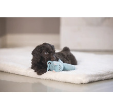 Cățel maro stând pe o pătură deschisă la culoare și jucându-se cu o jucărie