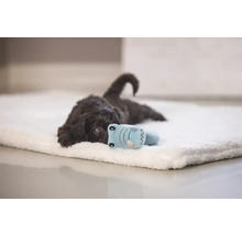 Un cățeluș maro stă întins pe o salteluță moale pentru câini, cu o jucărie.