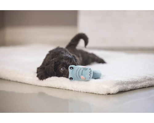 Un cățeluș maro stă întins pe o salteluță moale pentru câini, cu o jucărie.